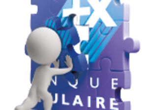 societariat_puzzle.jpg
